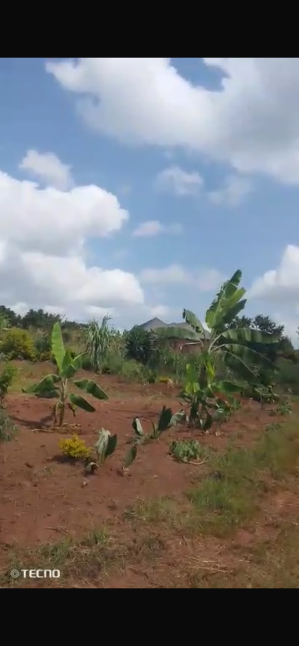 Plot 4sale Nakawuka Sakabusolo 50x40ft
