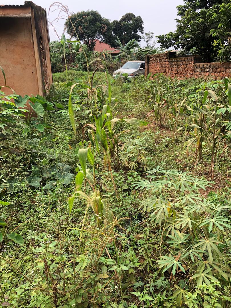 Commercial plot along Kasenyi rd off entebbe rd