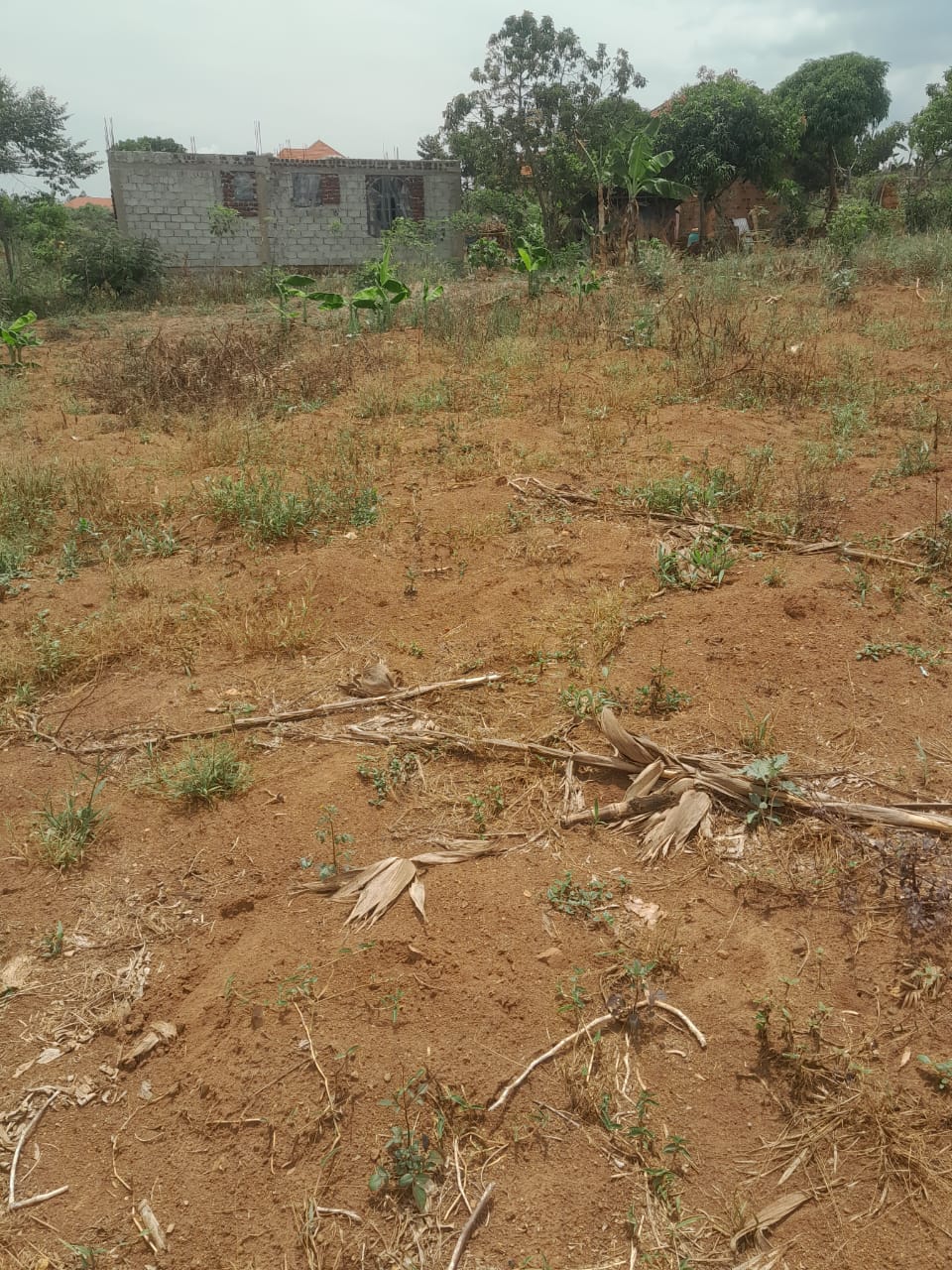 Plot for sale in wamala 50x100 ft at 28m agreement