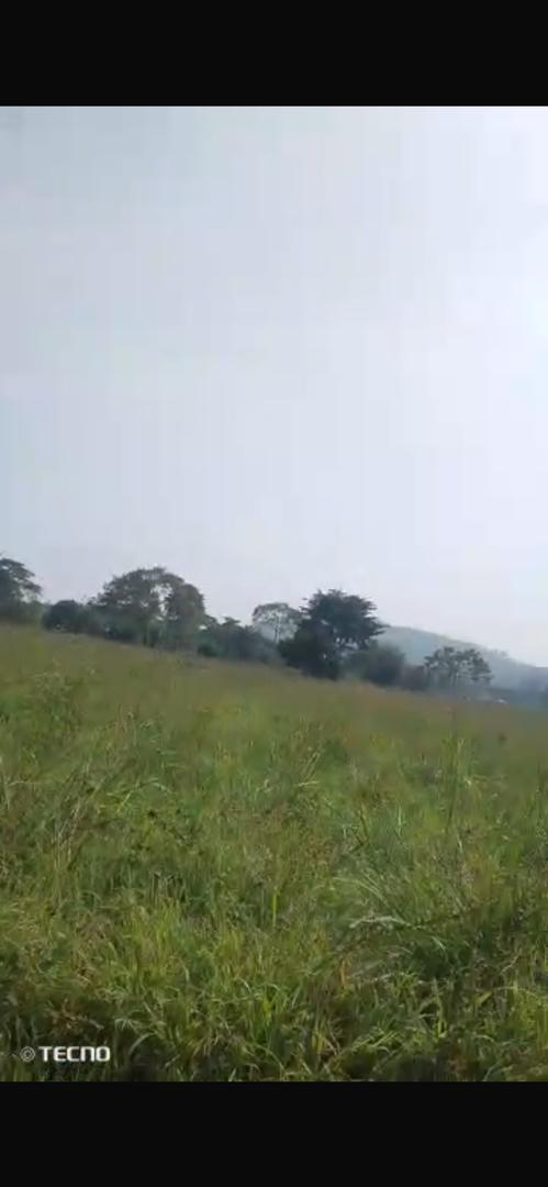50 acres for sale in Nakawuka - @130m
