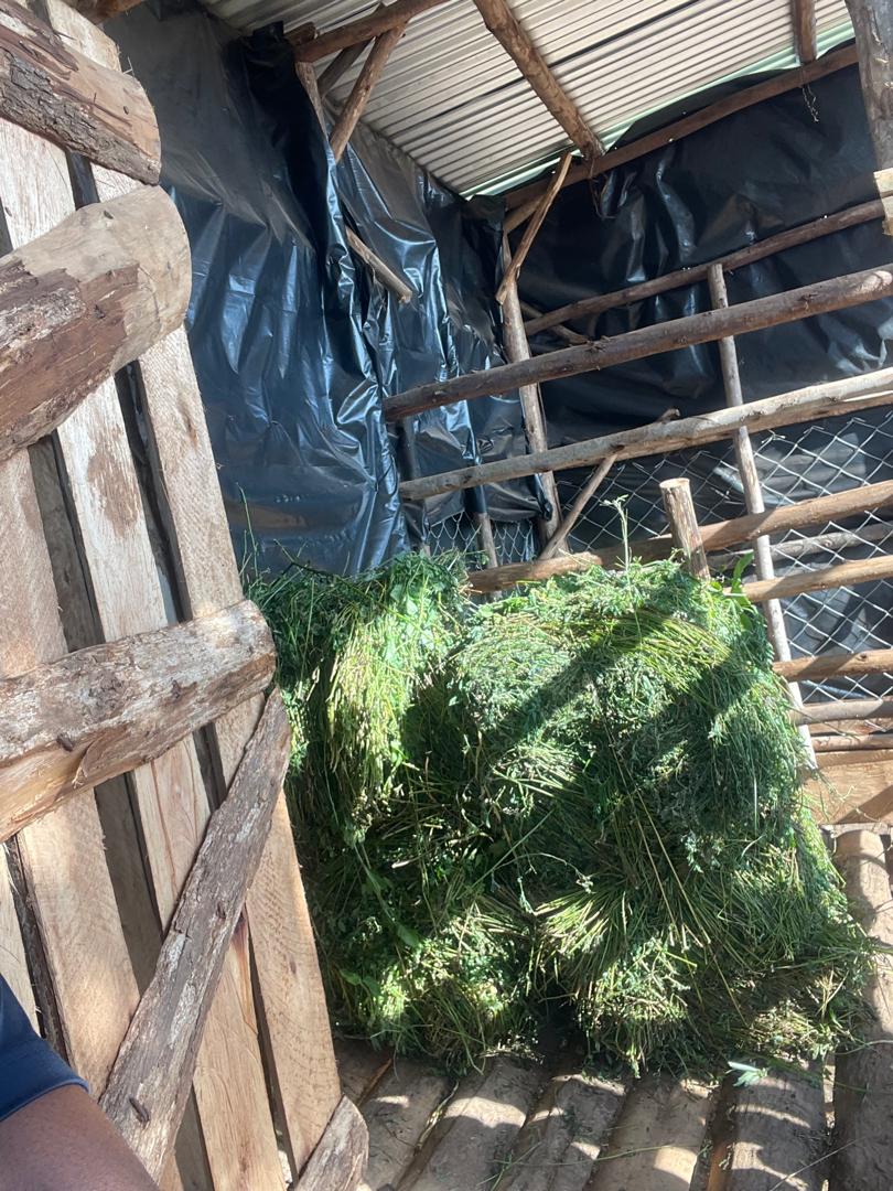 Complete model goat farm for sale in Kakiri