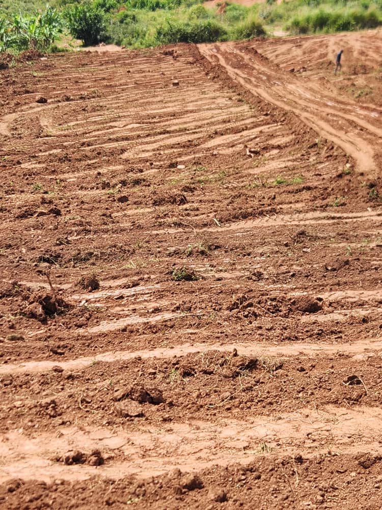 Hill view estate plots entebbe rd