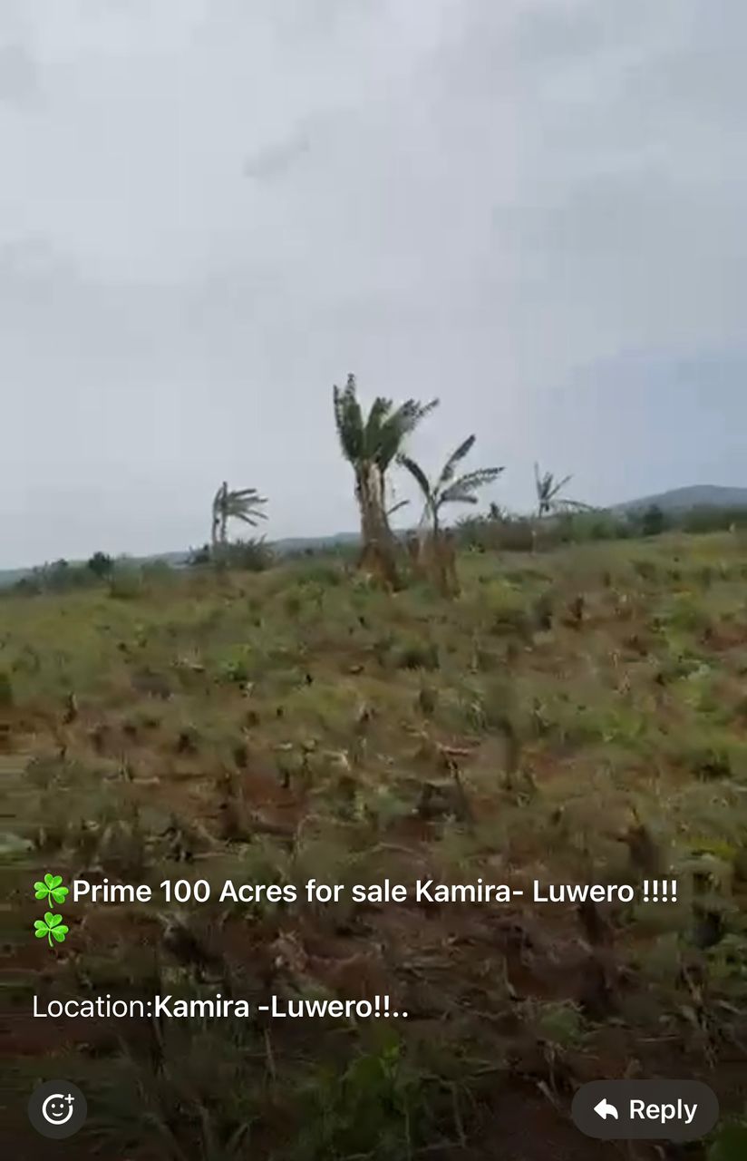 Prime 100acres for sale - Luwero