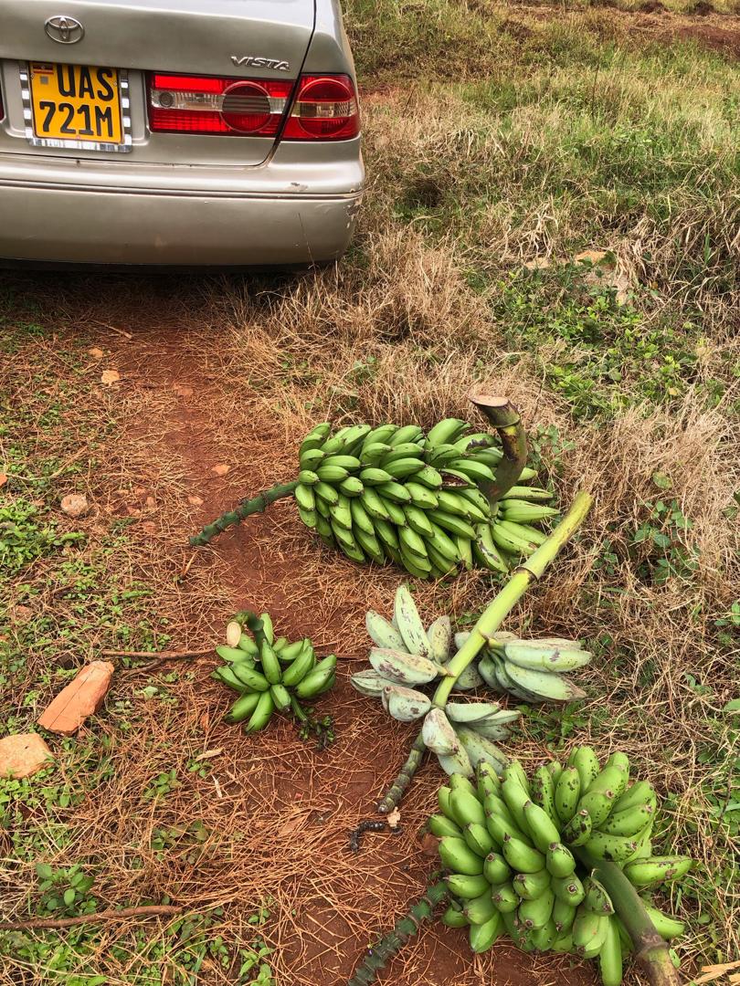 Nice plot in an estate Mende off hoima rd