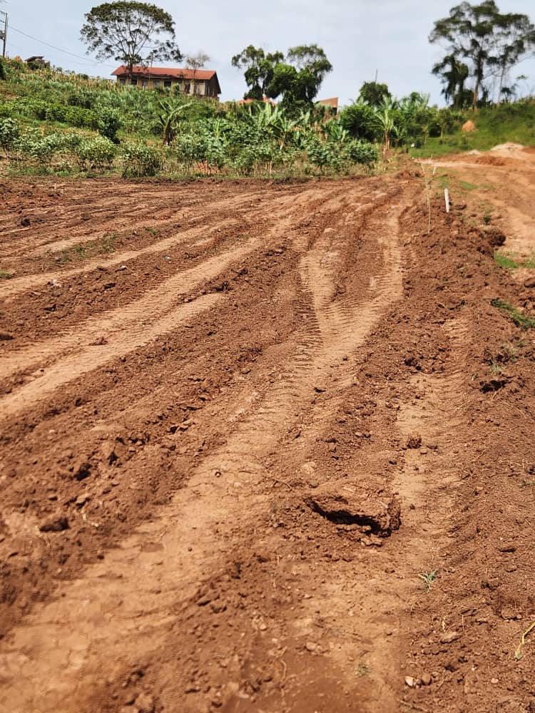 Hill view estate plots entebbe rd