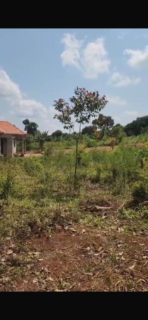 New estate in Nakawuka Katwe off entebbe rd