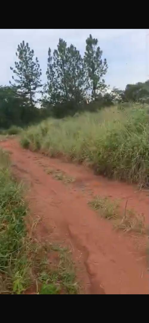 18 acres in Luwero for sale 15m@