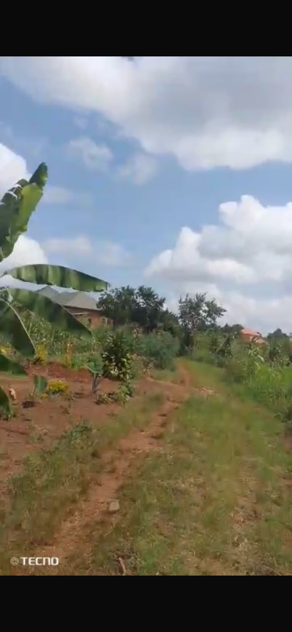 Plot 4sale Nakawuka Sakabusolo 50x40ft