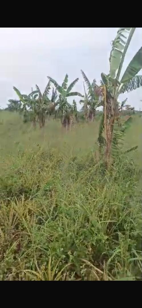 18 acres in Luwero for sale 15m@