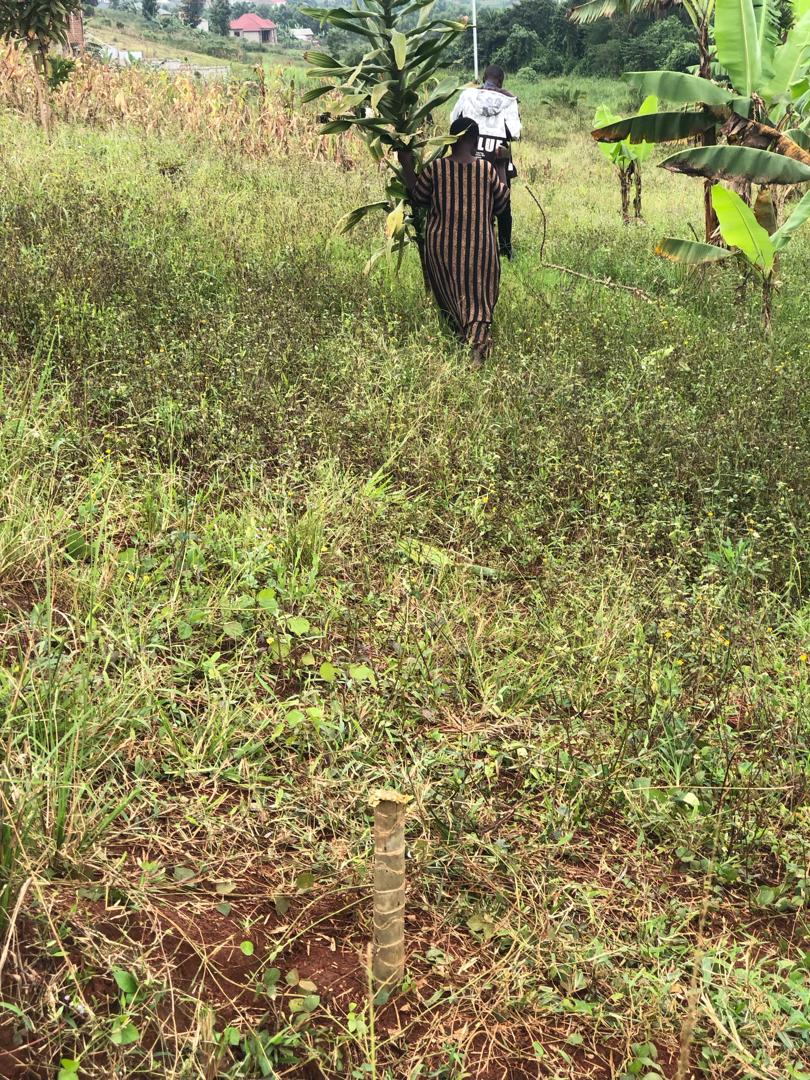 Nice plot in an estate Mende off hoima rd