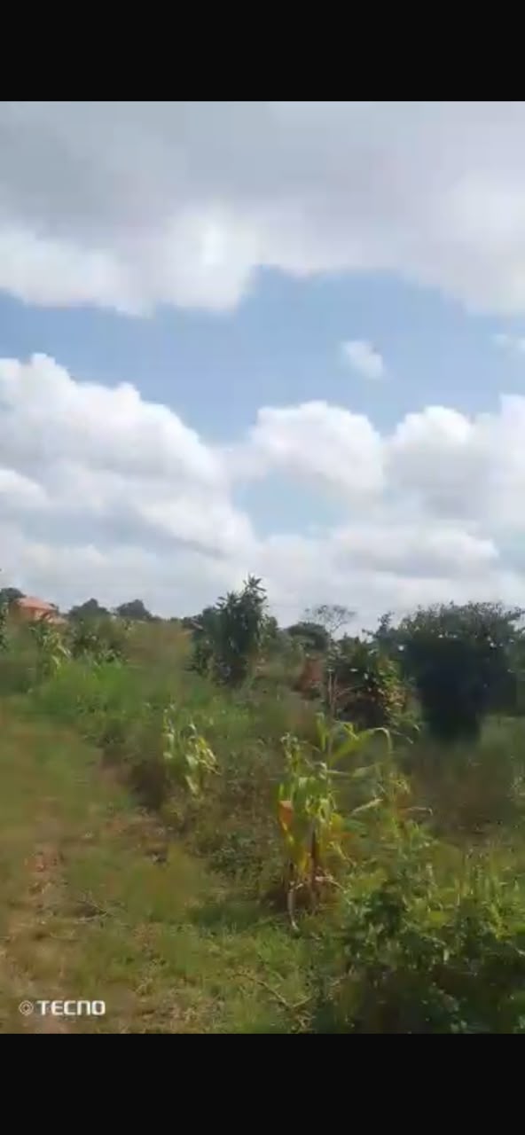 Plot 4sale Nakawuka Sakabusolo 50x40ft