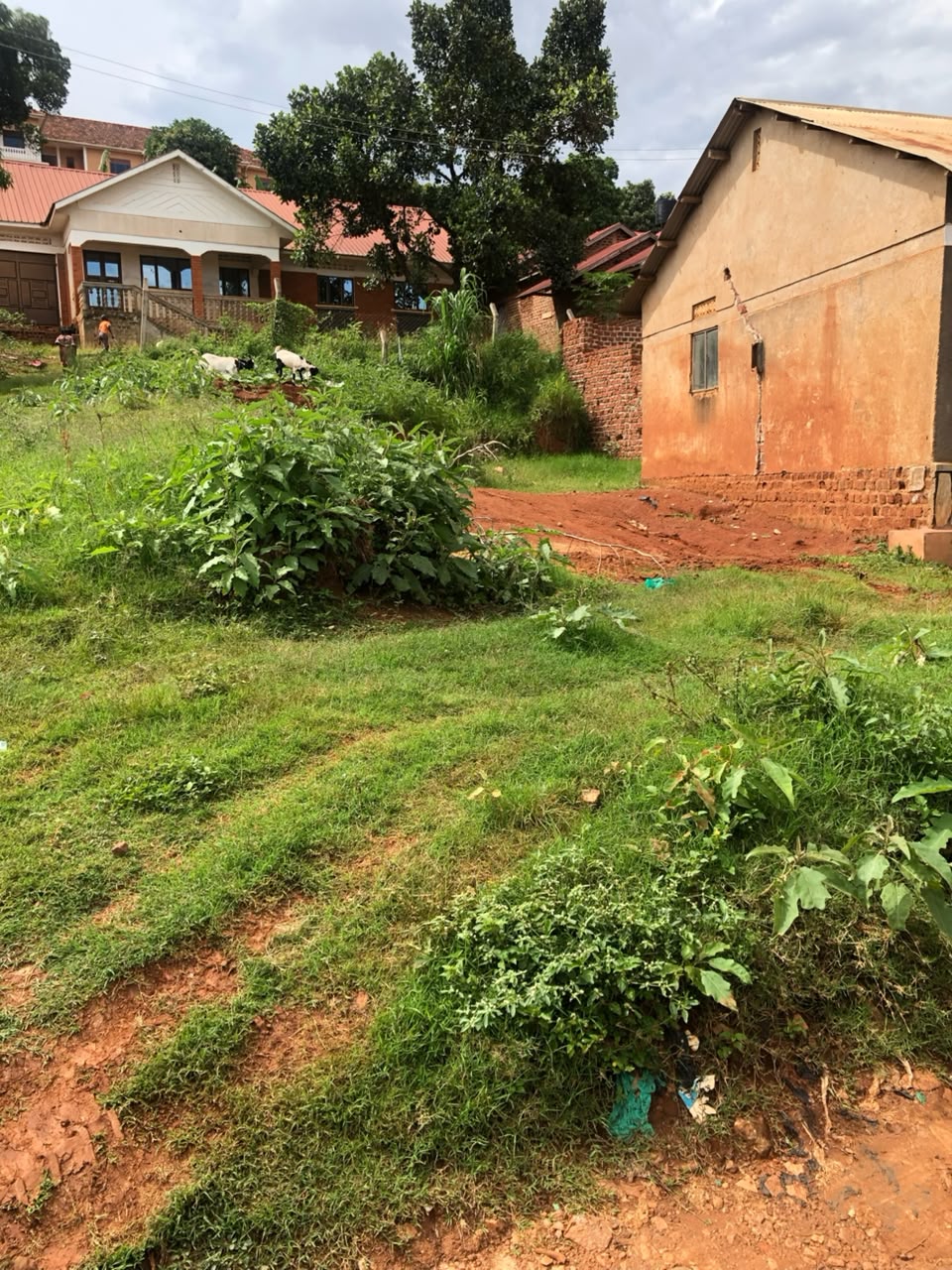 plot for sale Zana Bunamwaya entebbe rd