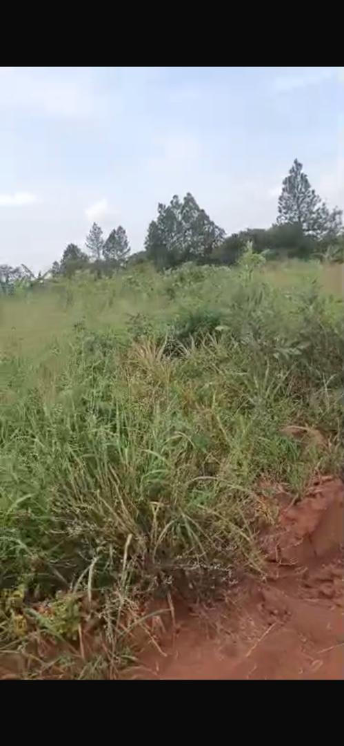 18 acres in Luwero for sale 15m@