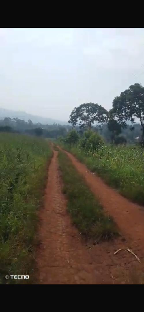 50 acres for sale in Nakawuka - @130m