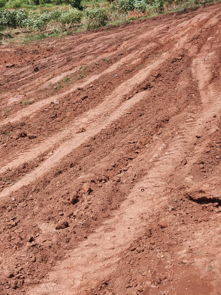 Hill view estate plots entebbe rd