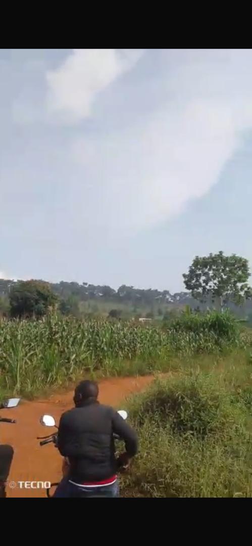 50 acres for sale in Nakawuka - @130m