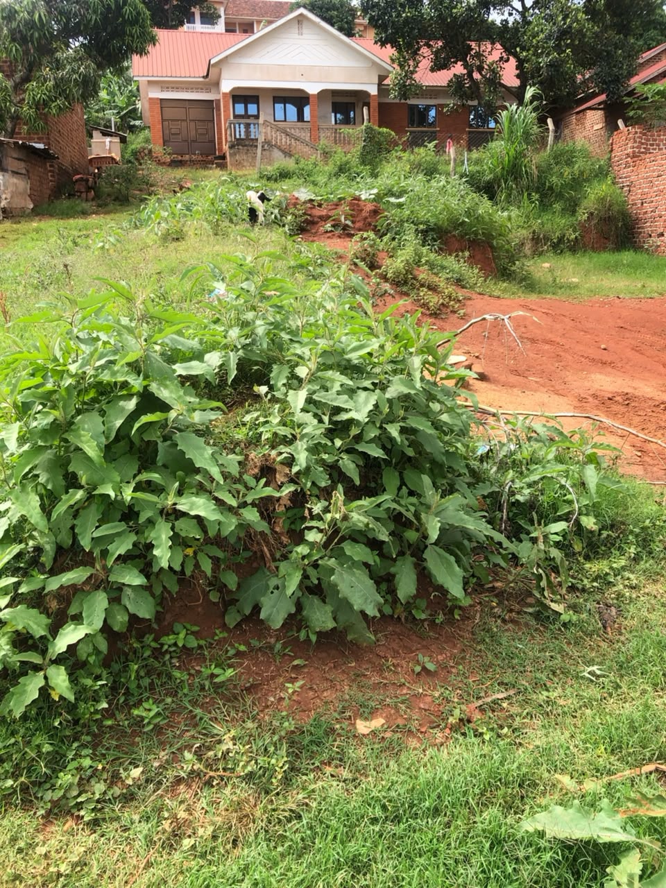 plot for sale Zana Bunamwaya entebbe rd
