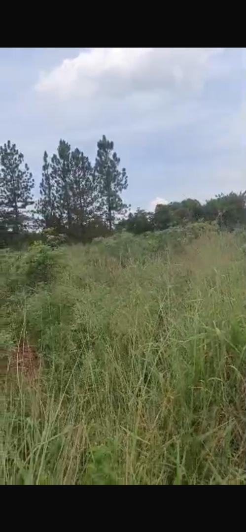 18 acres in Luwero for sale 15m@