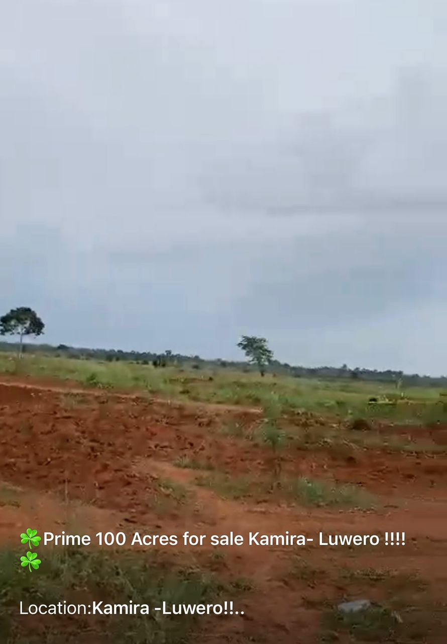 Prime 100acres for sale - Luwero