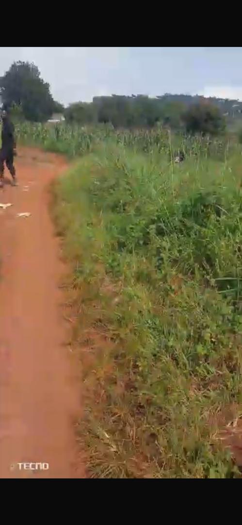 50 acres for sale in Nakawuka - @130m