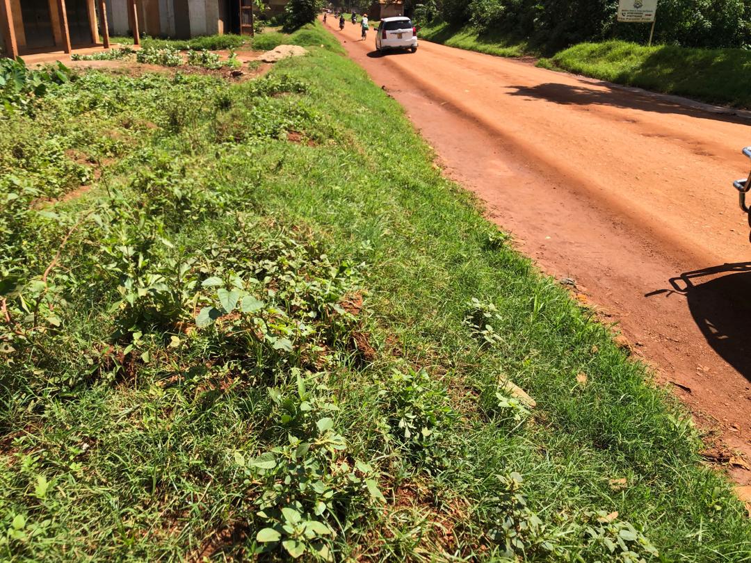 Commercial plot along Kasenyi rd off entebbe rd