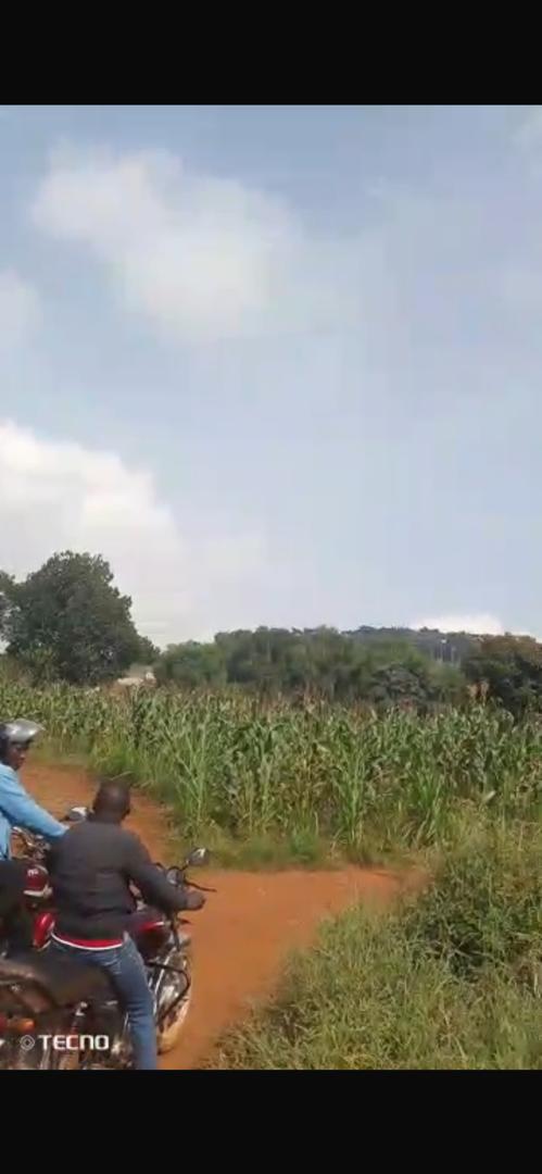 50 acres for sale in Nakawuka - @130m