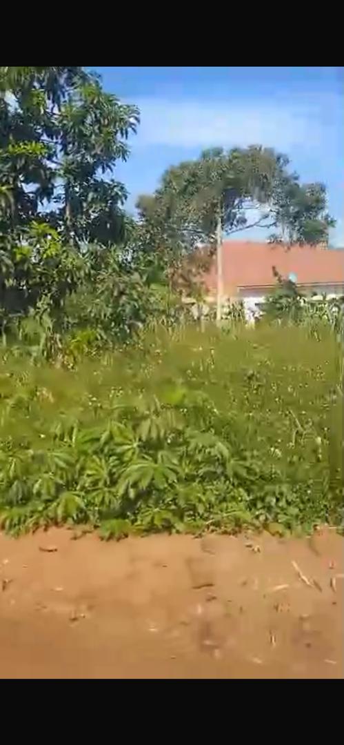 New estate Nsagu Nakawuka phase1,2,3